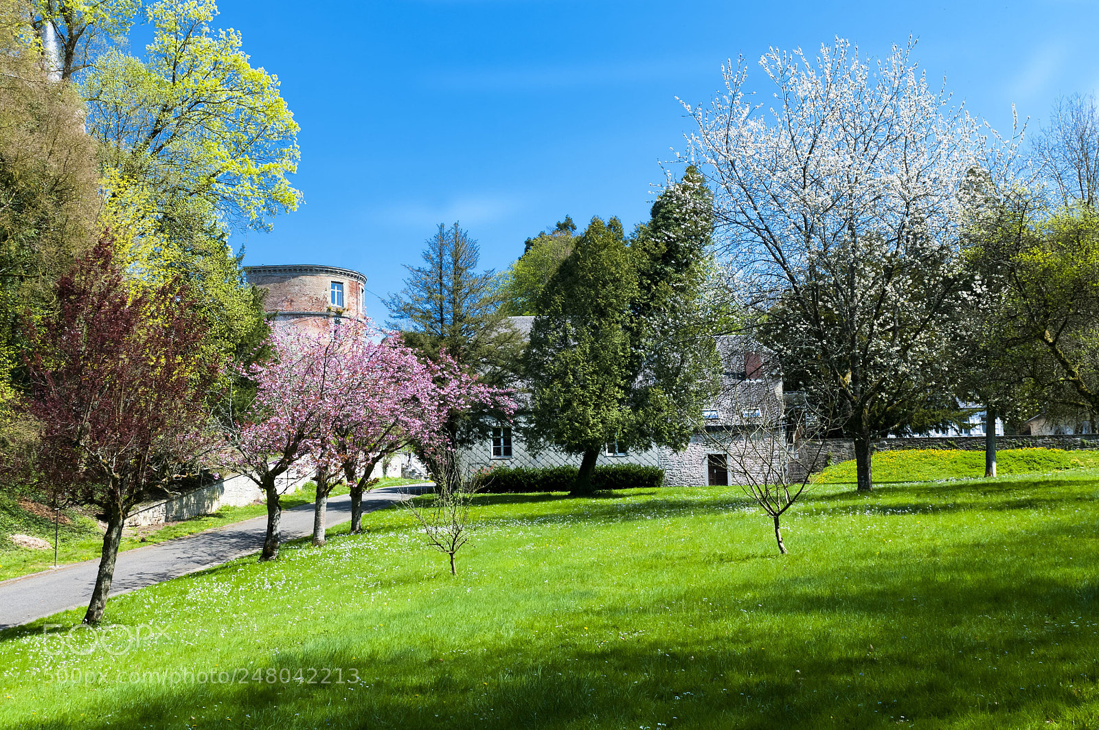 Nikon D90 sample photo. De belles couleurs photography