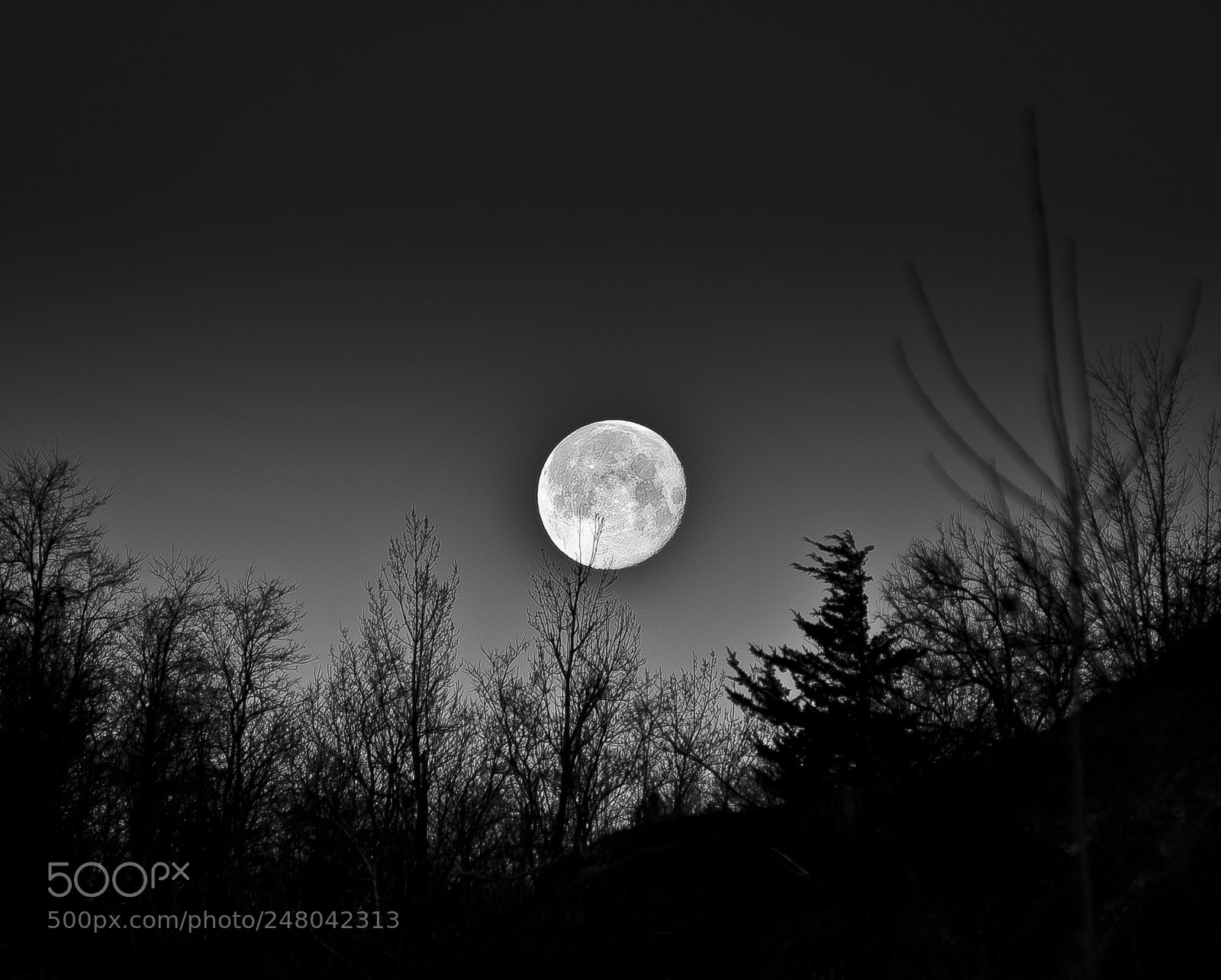 Nikon D800 sample photo. Full moon photography
