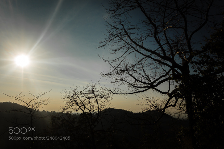 Canon EOS 700D (EOS Rebel T5i / EOS Kiss X7i) sample photo. Mg photography