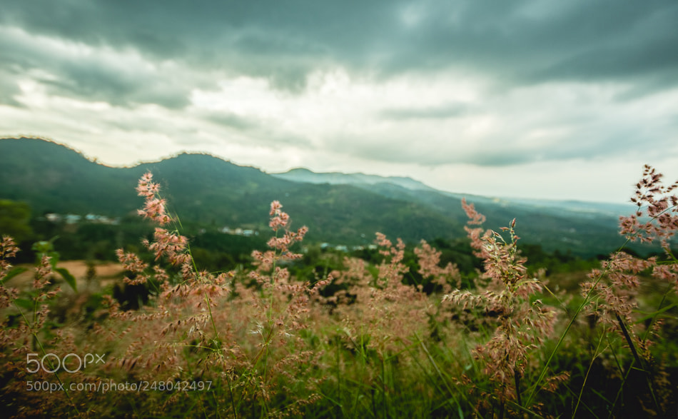 Canon EOS 700D (EOS Rebel T5i / EOS Kiss X7i) sample photo. Hdr photography