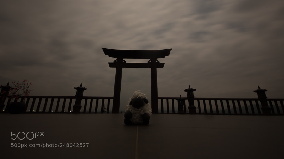 Canon EOS 700D (EOS Rebel T5i / EOS Kiss X7i) sample photo. Mg photography