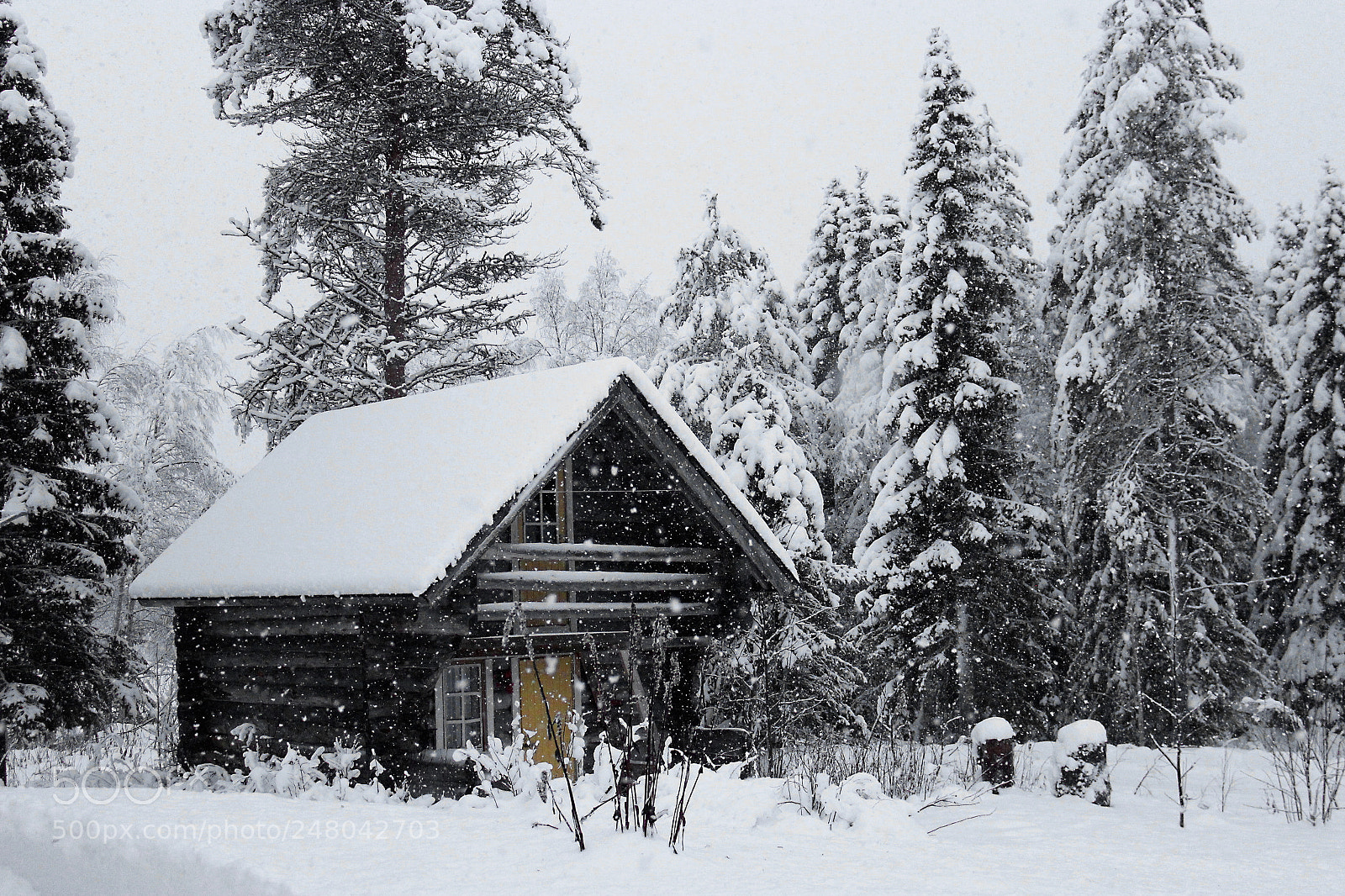 Canon EOS 600D (Rebel EOS T3i / EOS Kiss X5) sample photo. Snowing photography