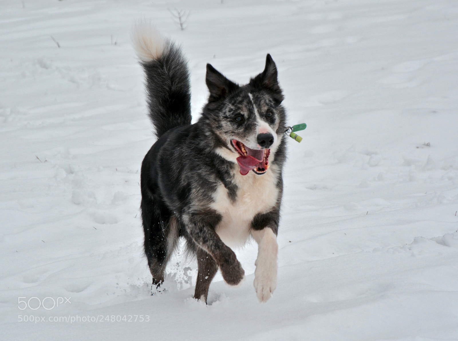 Nikon D5200 sample photo. Smokey snow photography