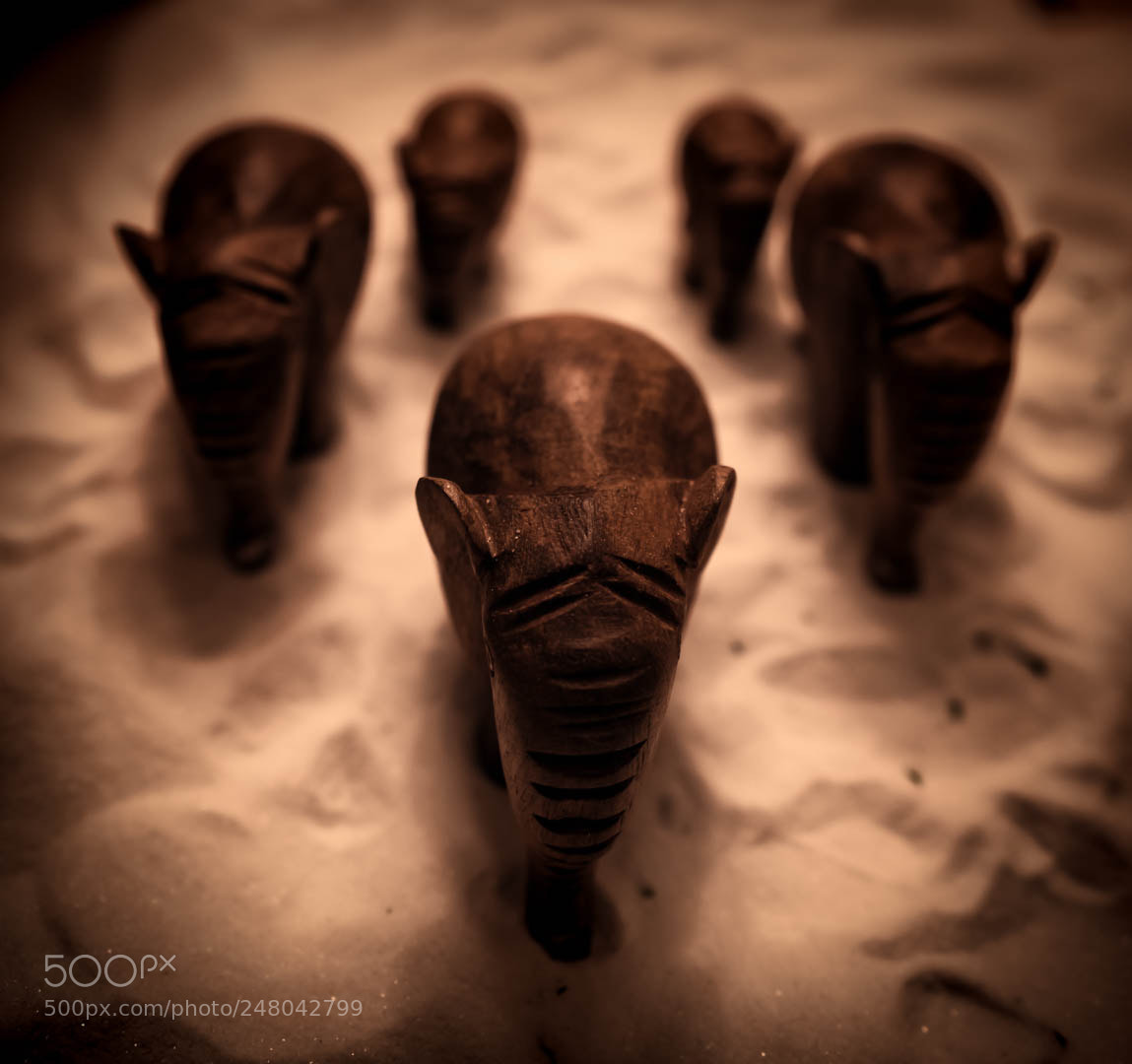 Sony a7R II sample photo. Sandstorm journey photography