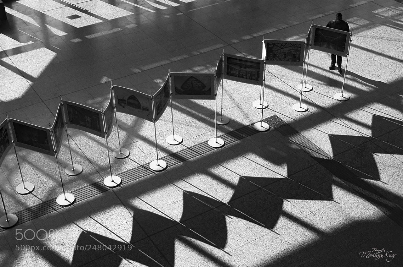 Nikon D5000 sample photo. Exhibition photography