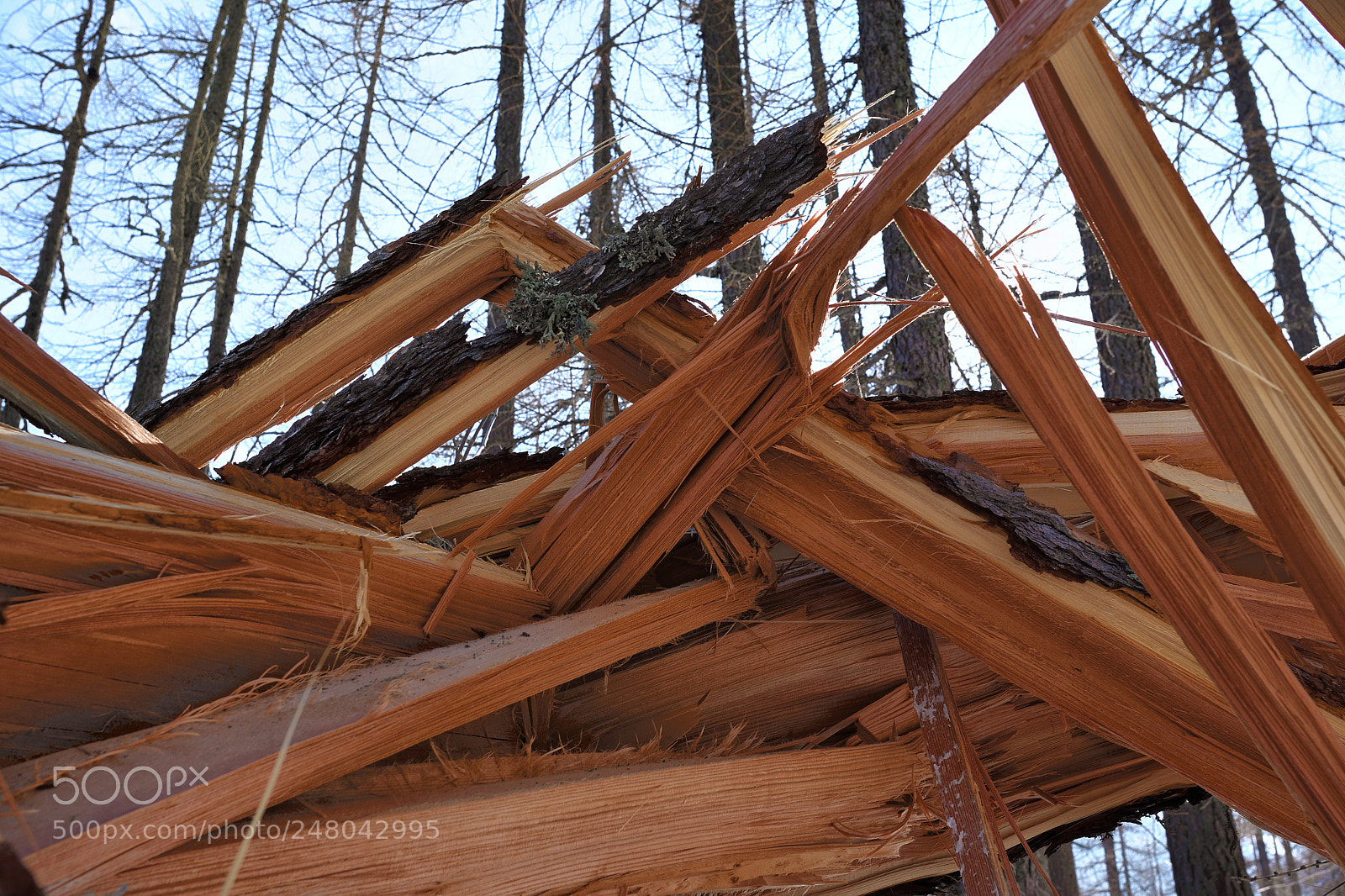 Nikon D500 sample photo. Twisted and crashed photography