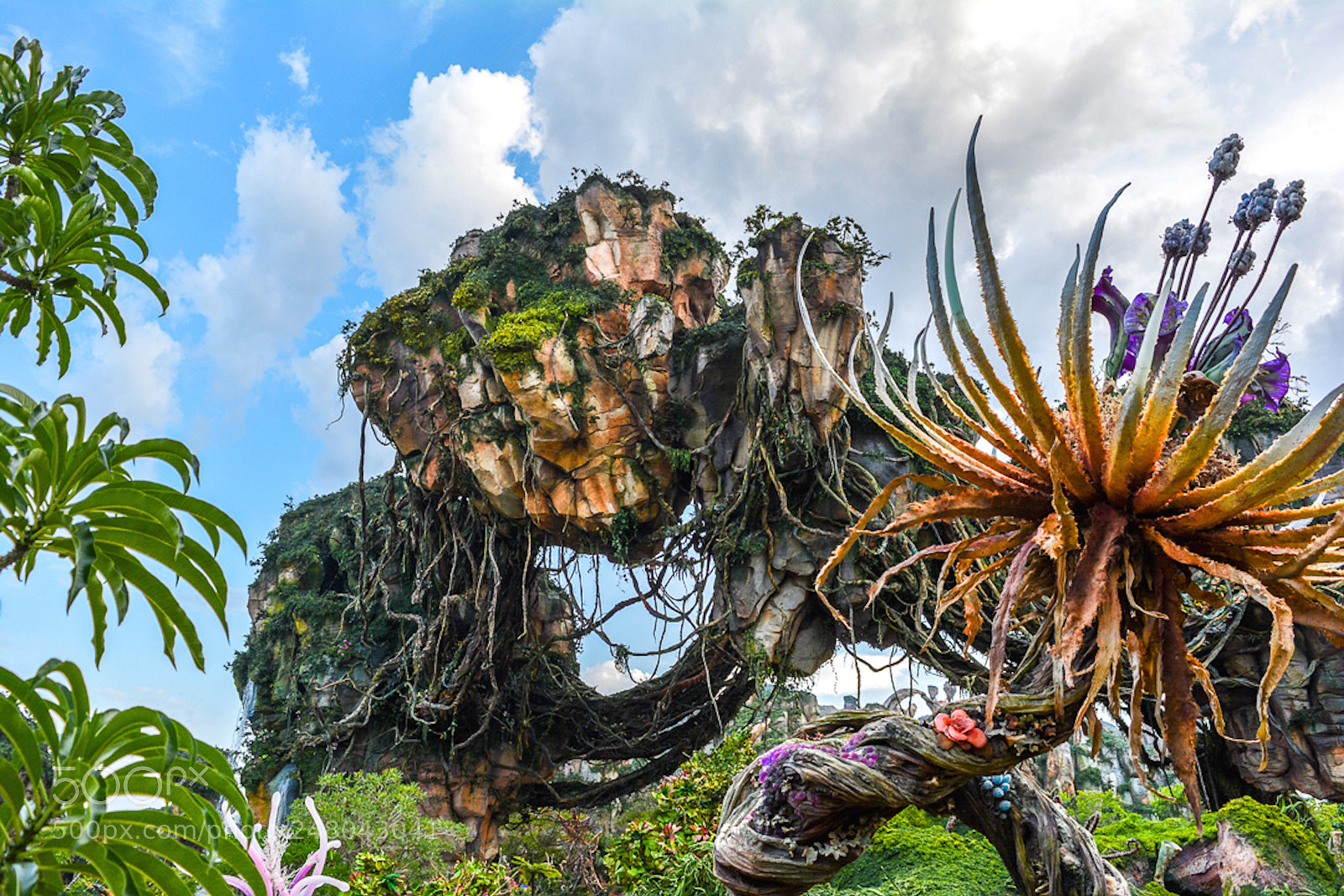 Nikon D5200 sample photo. Pandora world photography
