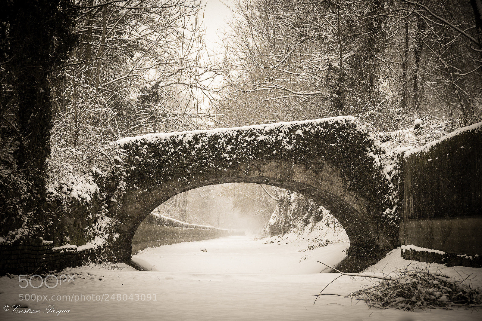 Nikon D810 sample photo. Snow photography
