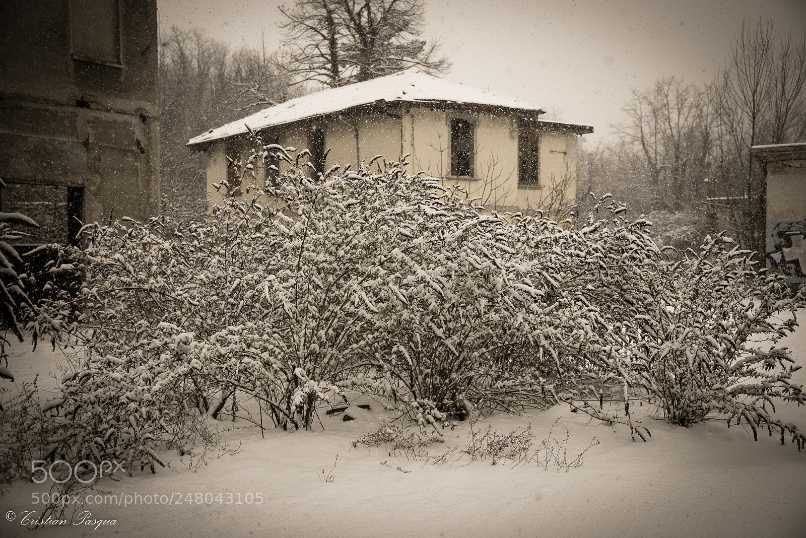Nikon D810 sample photo. Snow photography