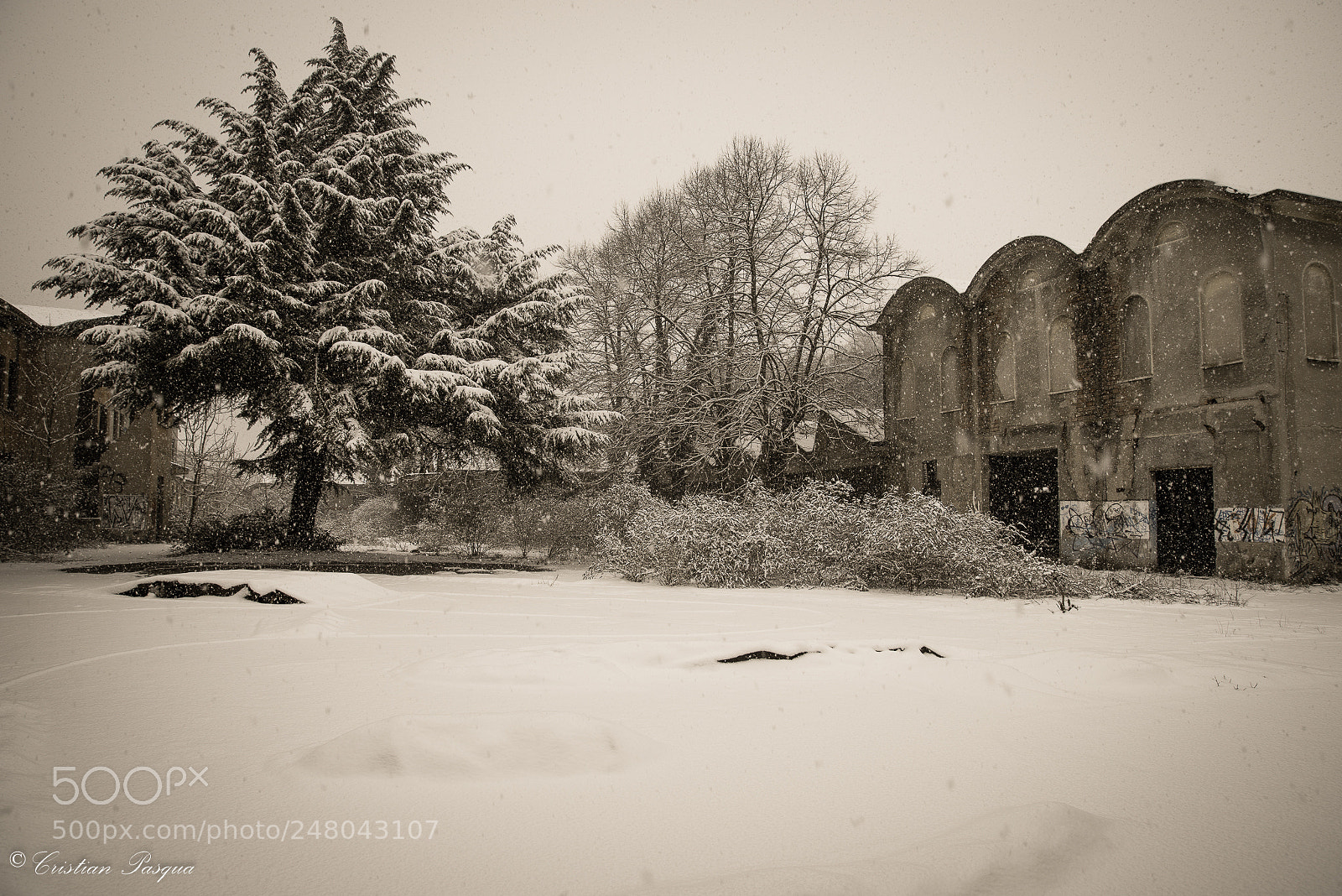 Nikon D810 sample photo. Snow photography