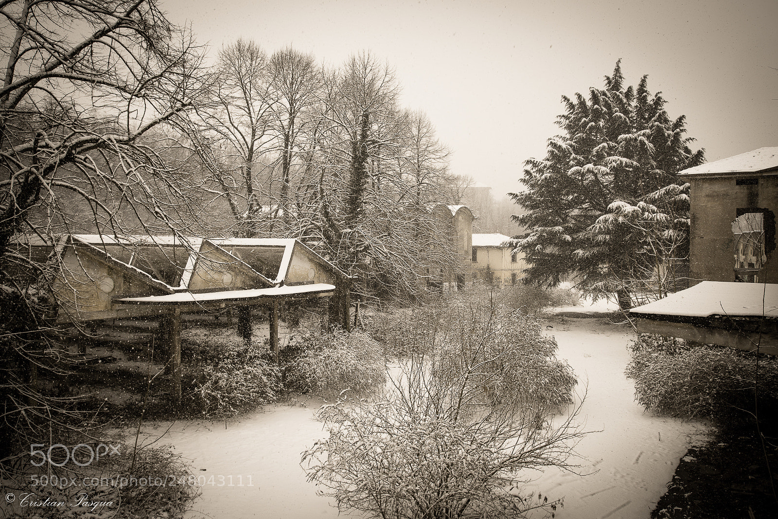 Nikon D810 sample photo. Snow photography
