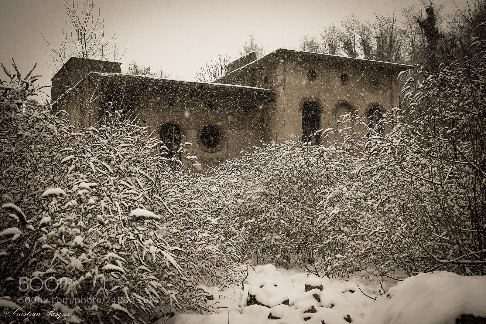Nikon D810 sample photo. Snow photography