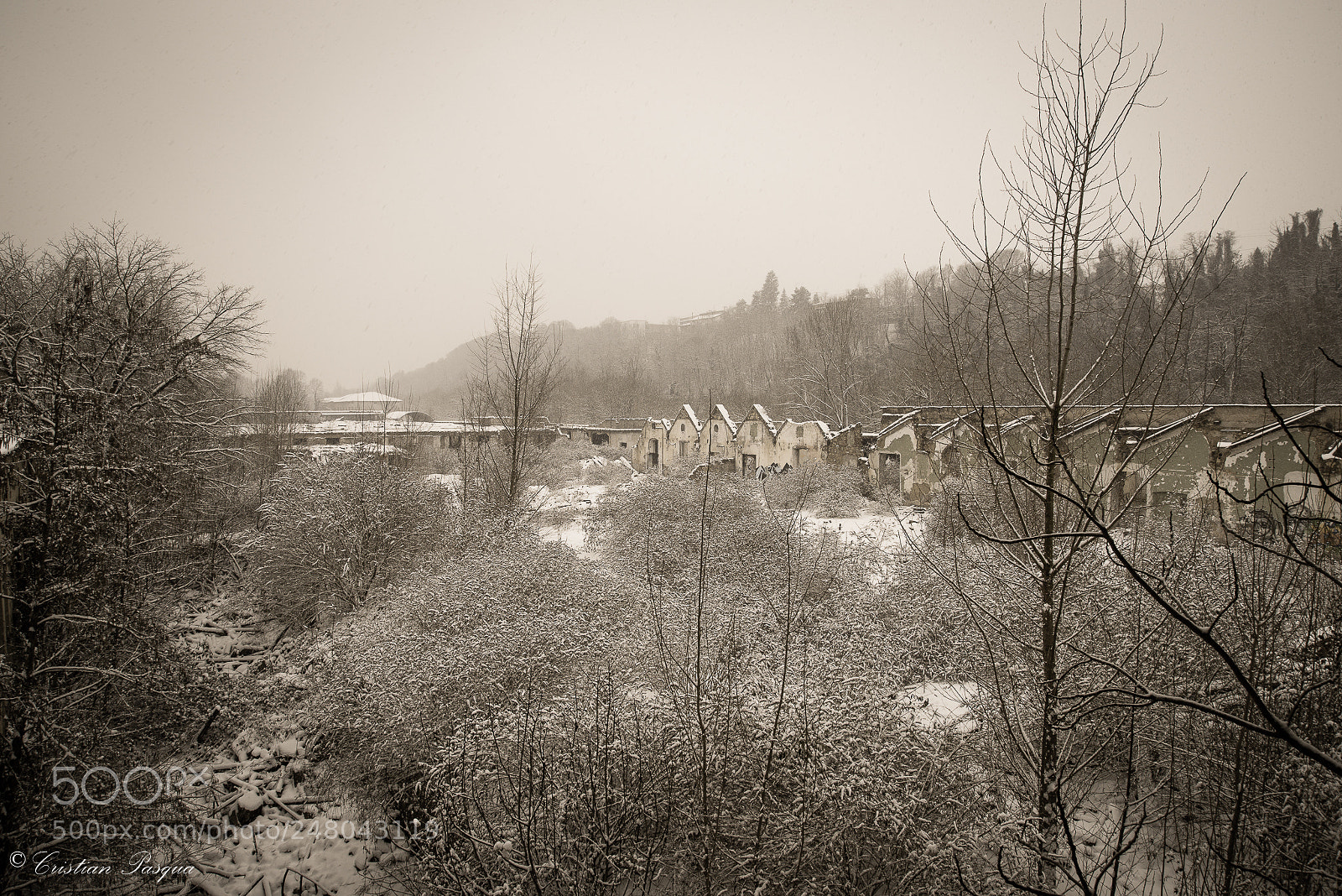 Nikon D810 sample photo. Snow photography