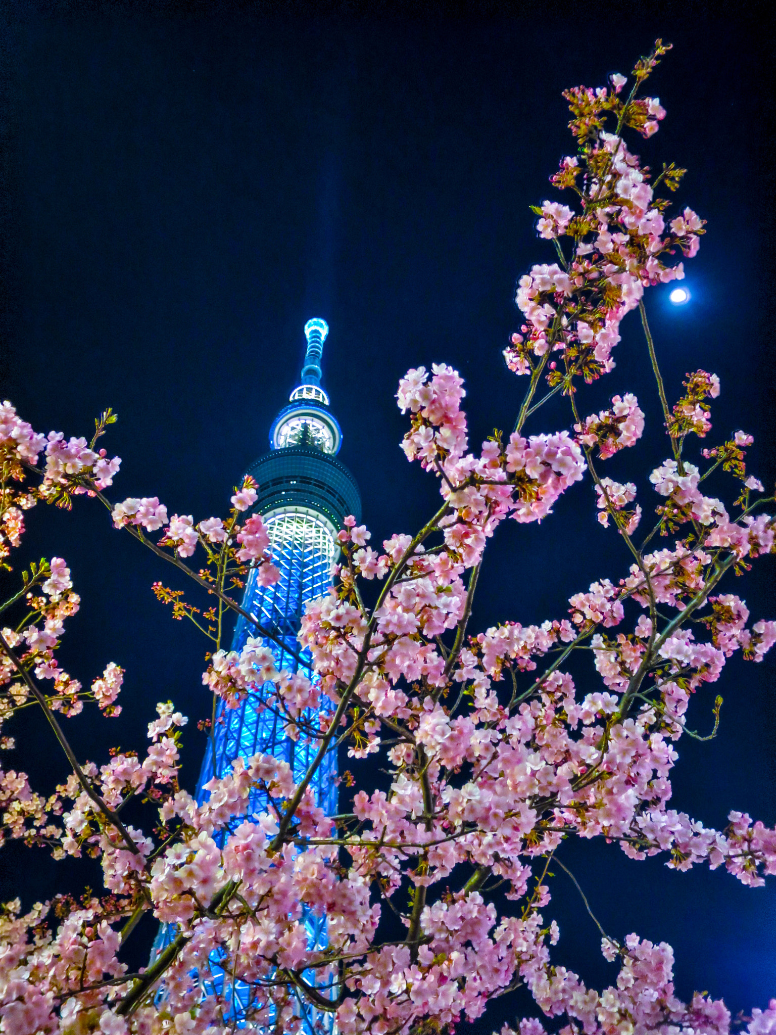 Canon PowerShot S120 sample photo. Cherry blossoms and tokyo skytree under moon photography