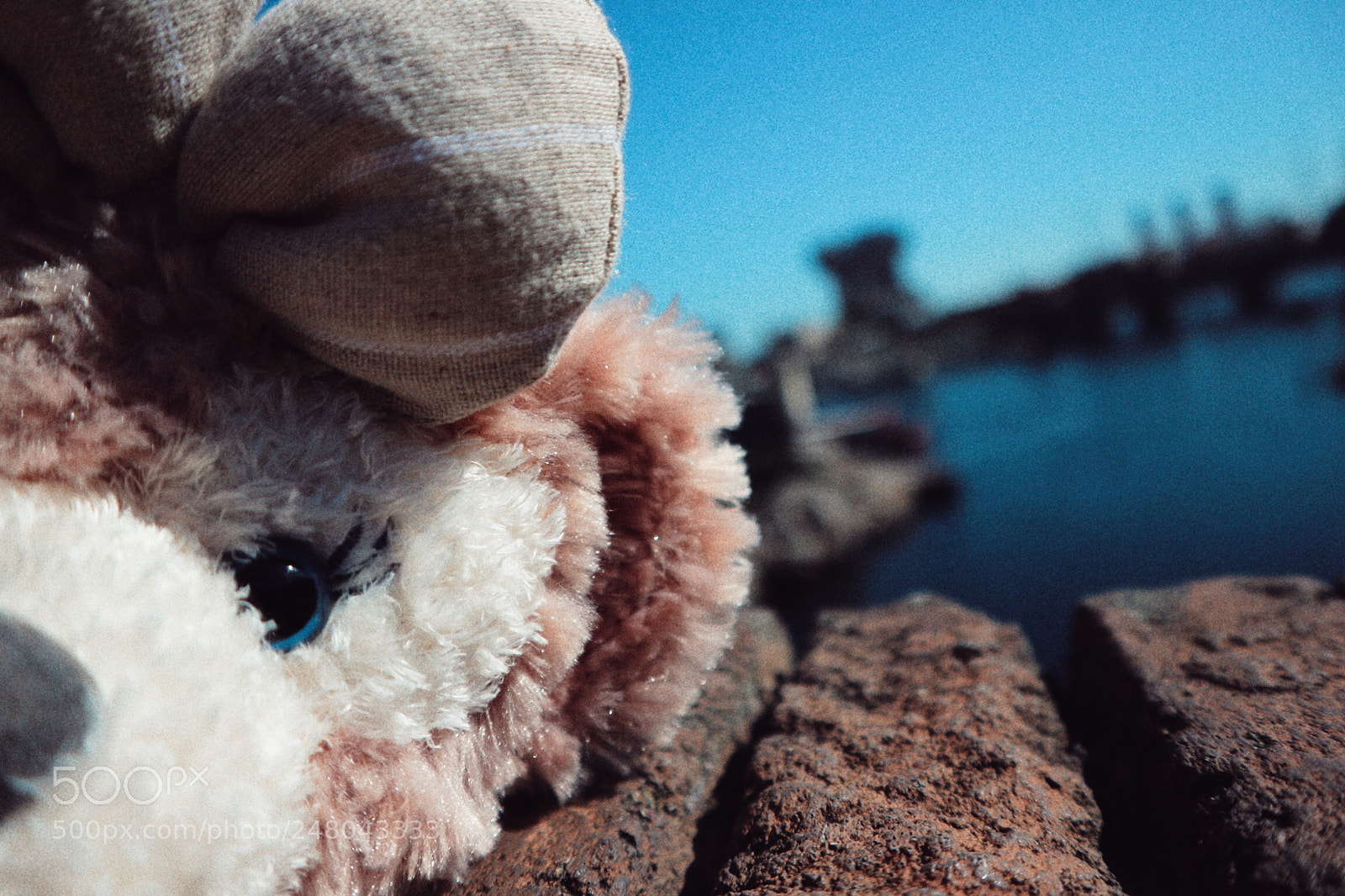 Canon EOS M10 sample photo. Shellie may photography