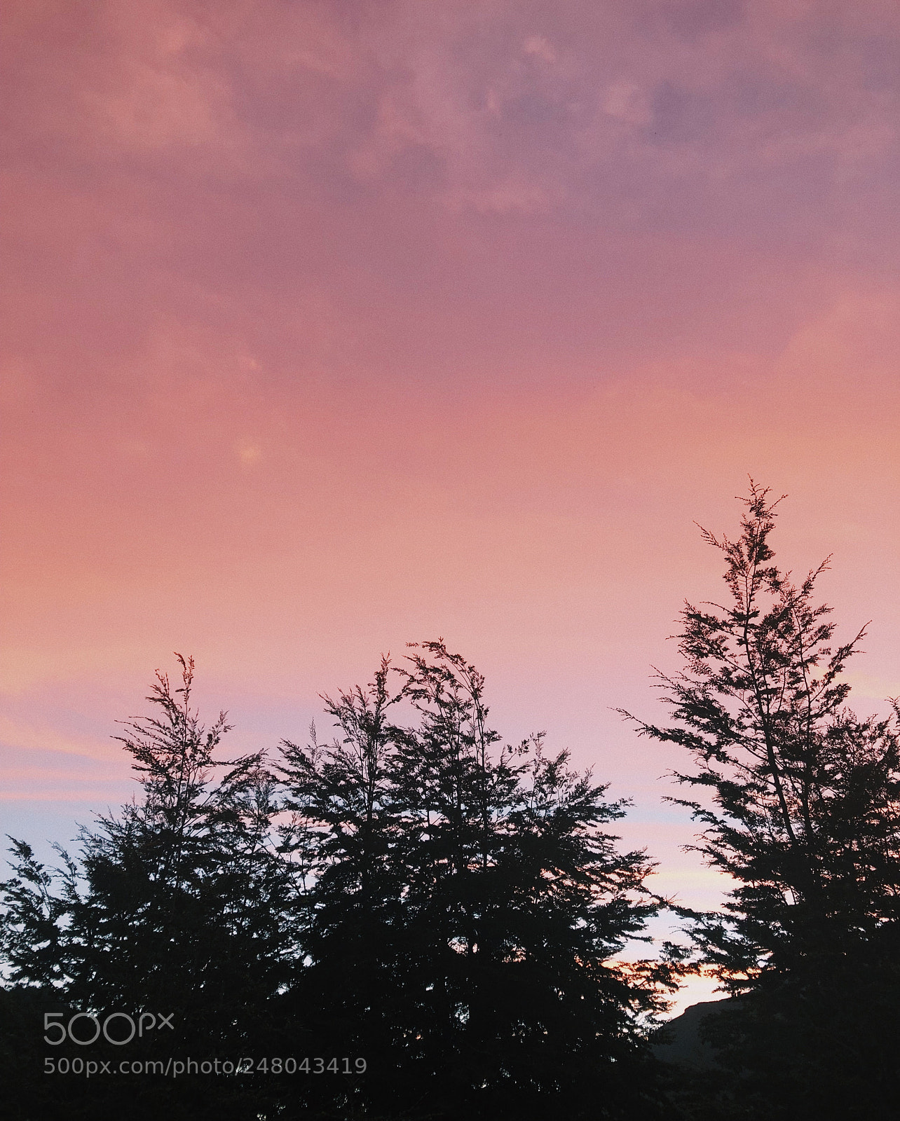 Apple iPhone 8 sample photo. Pastel skies photography