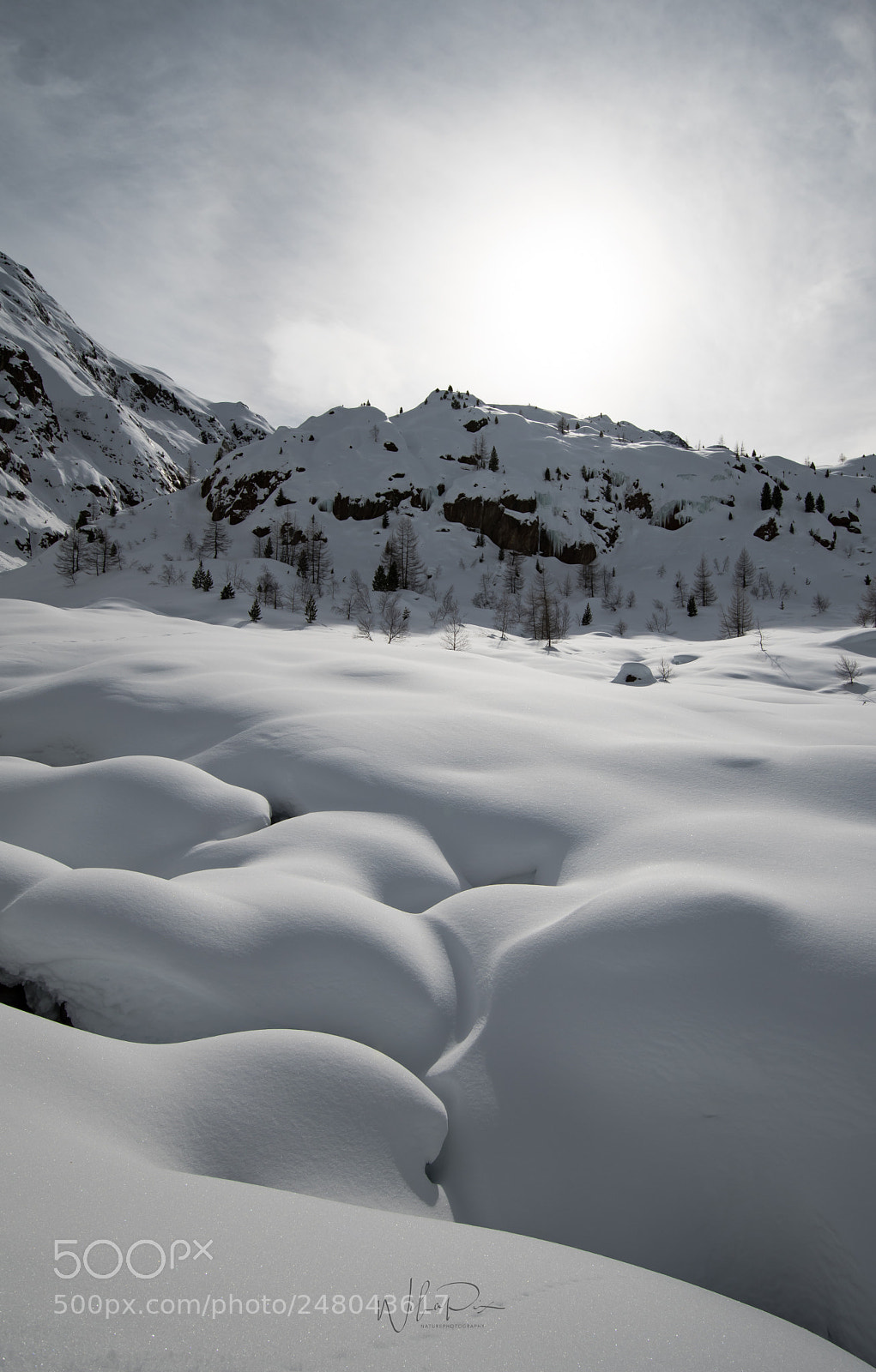 Nikon D500 sample photo. Made by nature photography