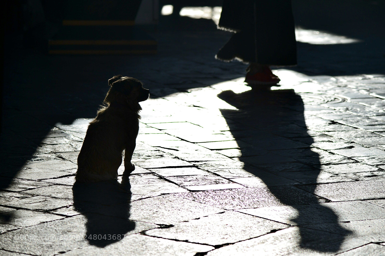 Nikon D800E sample photo. No title photography