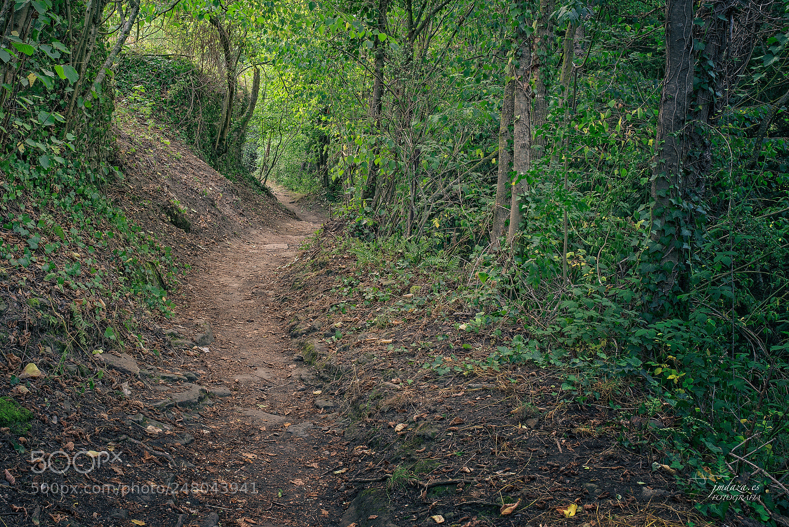 Nikon D610 sample photo. Jmdaza photography