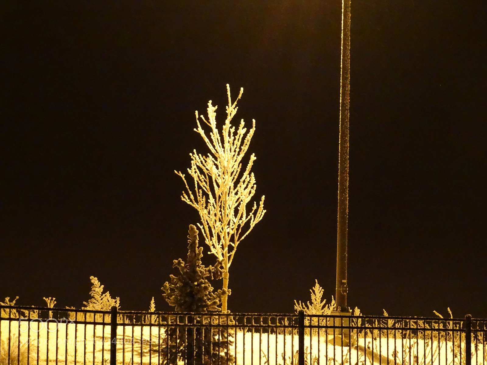Sony Cyber-shot DSC-HX300 sample photo. My colorado photography