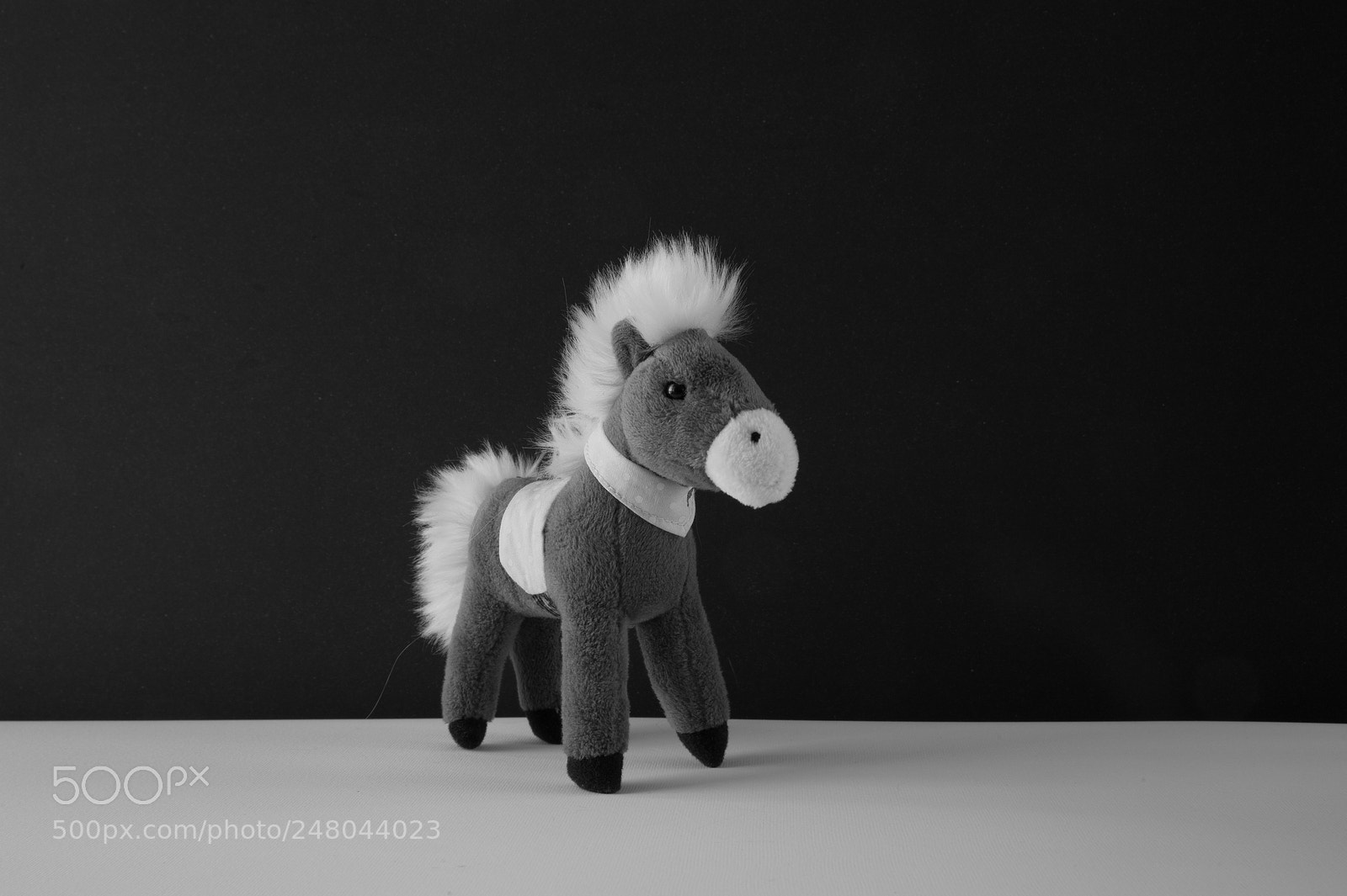Nikon D700 sample photo. Horse)) photography