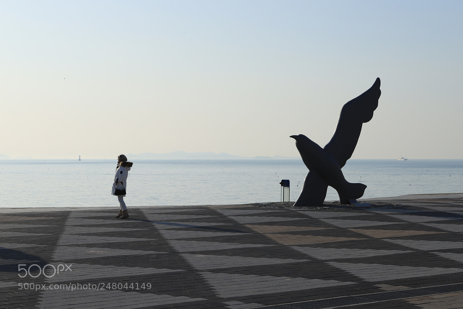 Canon EOS 6D Mark II sample photo. Want to fly photography