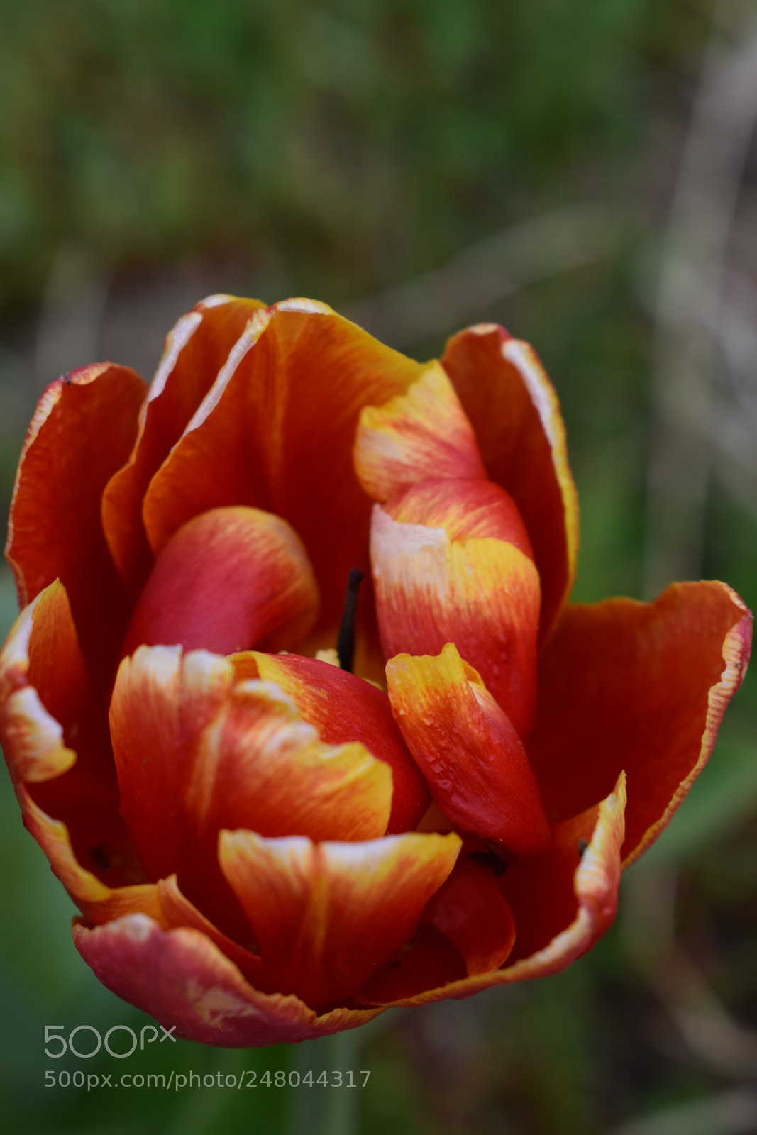 Nikon D3400 sample photo. Untitled photography