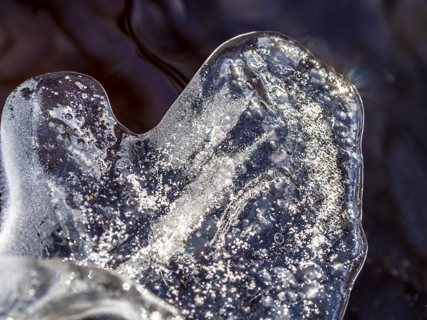 Olympus PEN E-PM2 sample photo. Ice photography
