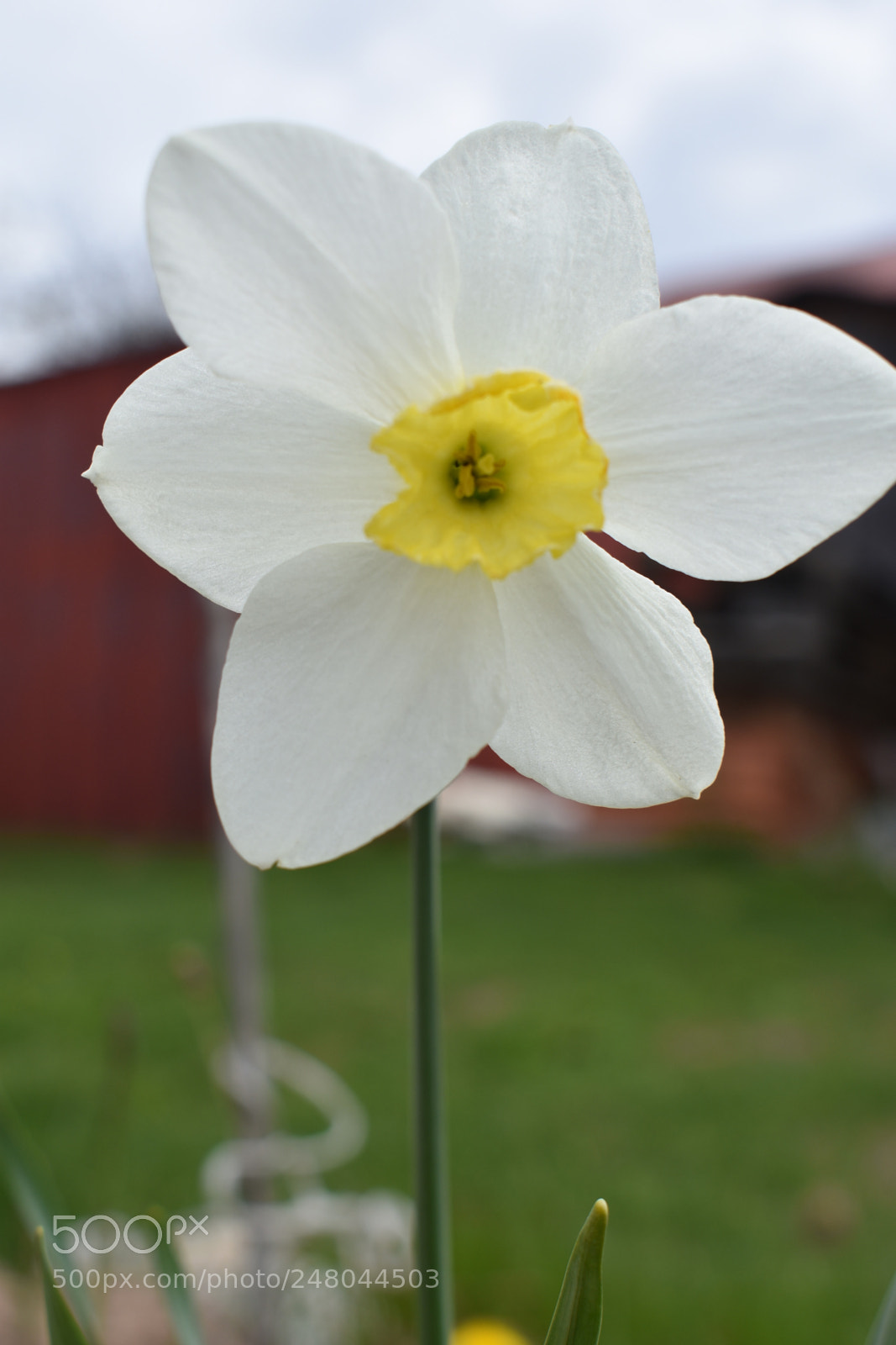 Nikon D3400 sample photo. Untitled photography