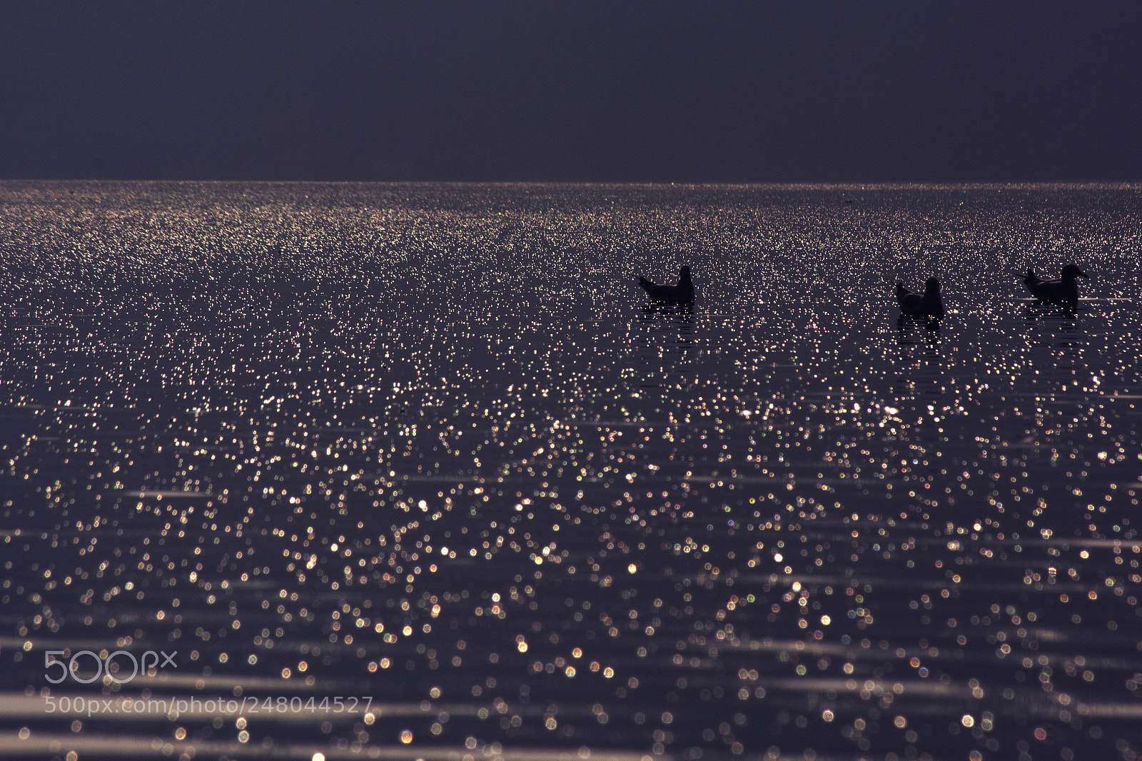 Nikon D5200 sample photo. Unending love photography