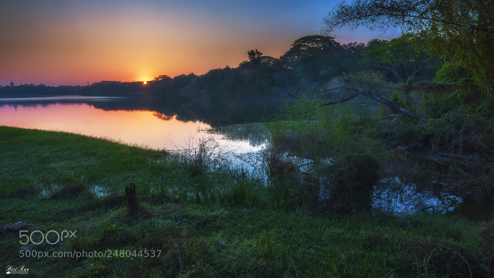 Nikon D810 sample photo. Morning glory.. photography