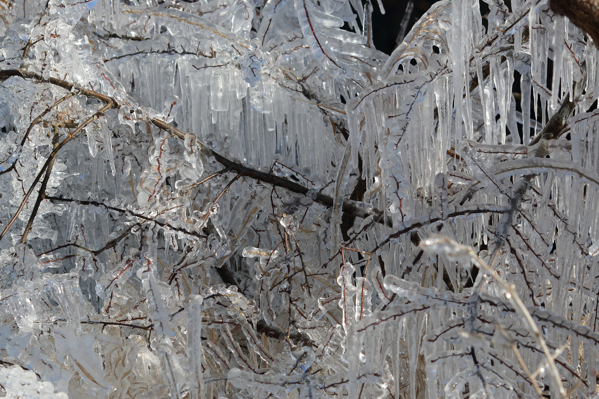 Canon EOS 70D + Canon EF 135mm F2L USM sample photo. Ice sculpture photography