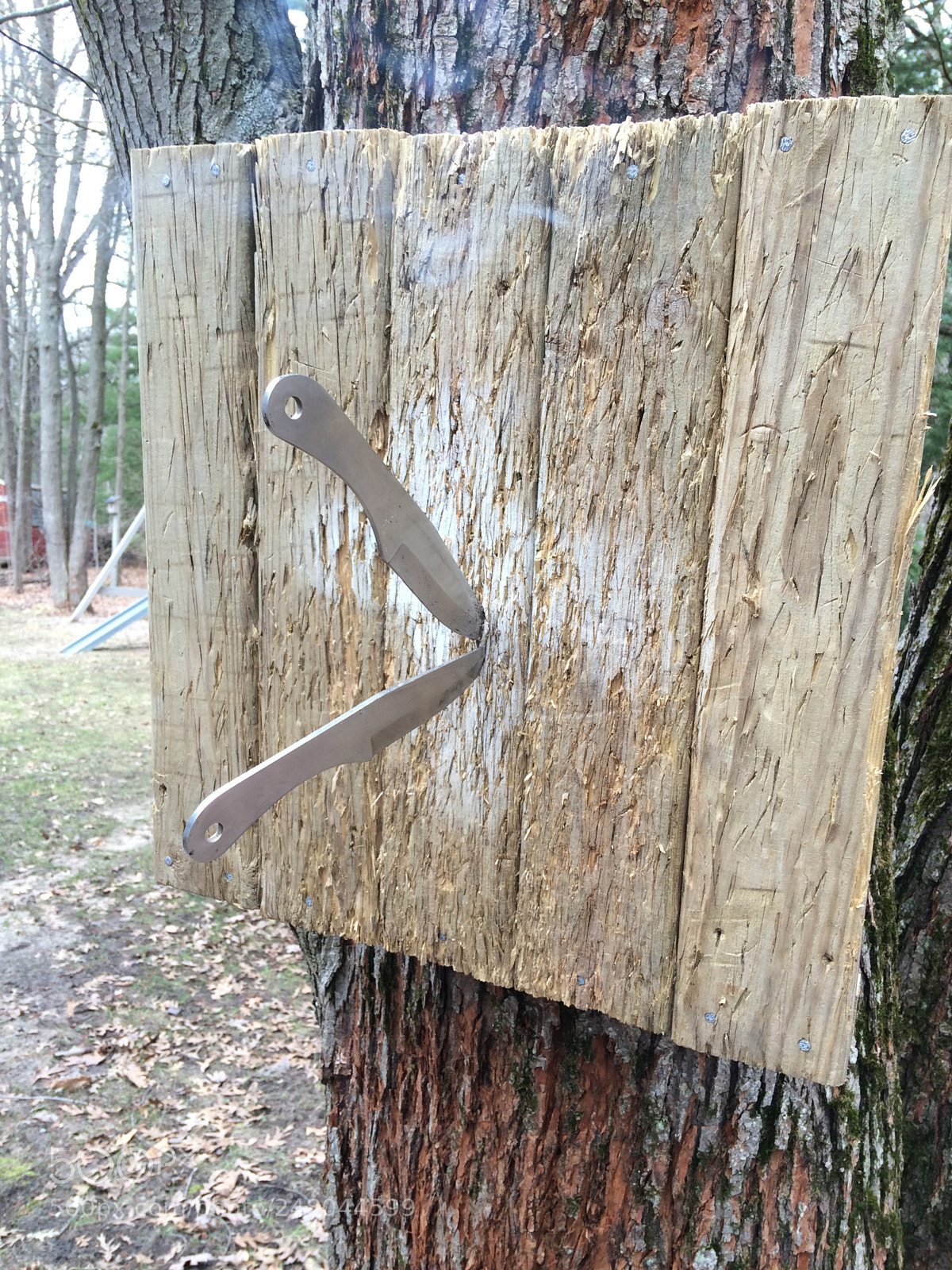 Apple iPhone 5s sample photo. Untitled photography