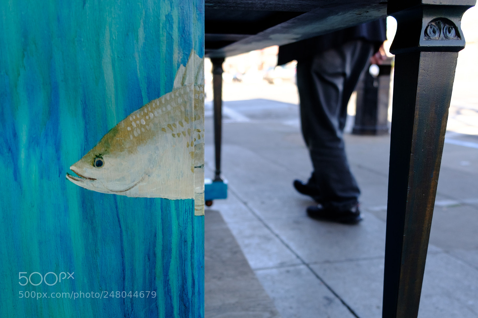 Fujifilm X-T20 sample photo. Amphibian photography