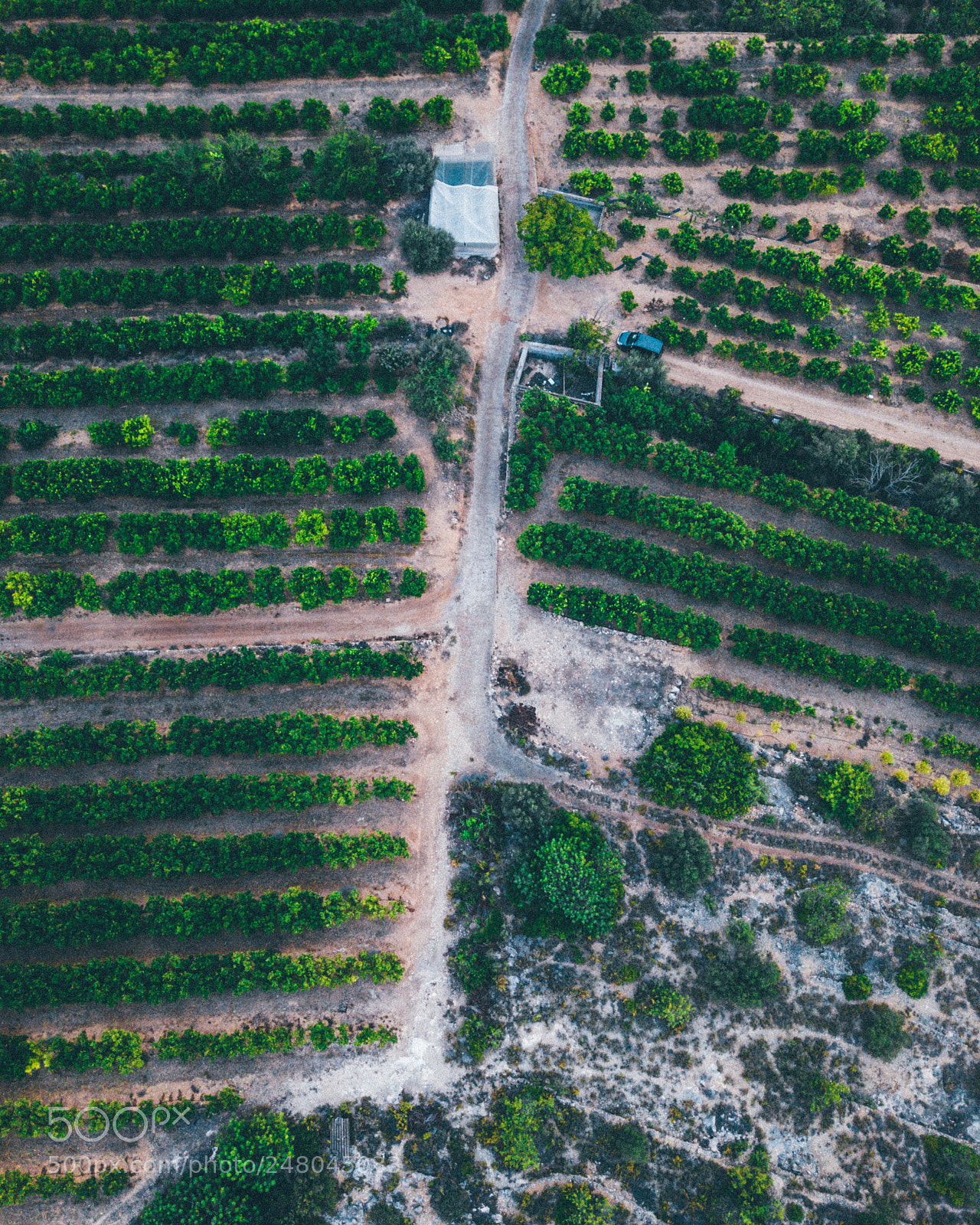 DJI FC220 sample photo. Droning near my home photography