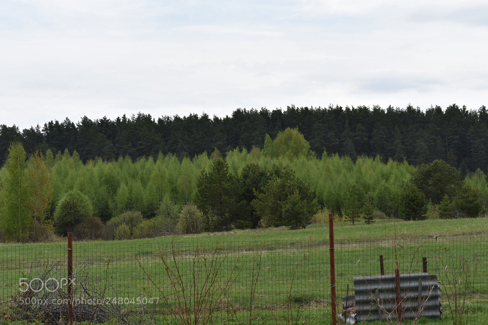 Nikon D3400 sample photo. Untitled photography