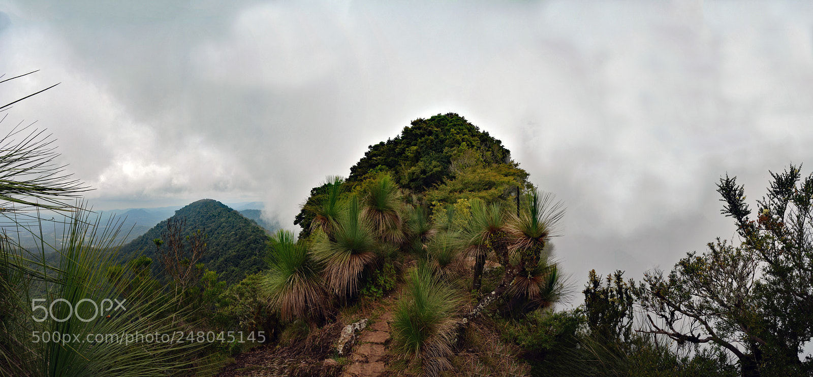 Nikon D5200 sample photo. Mt mitchell seq panorama photography