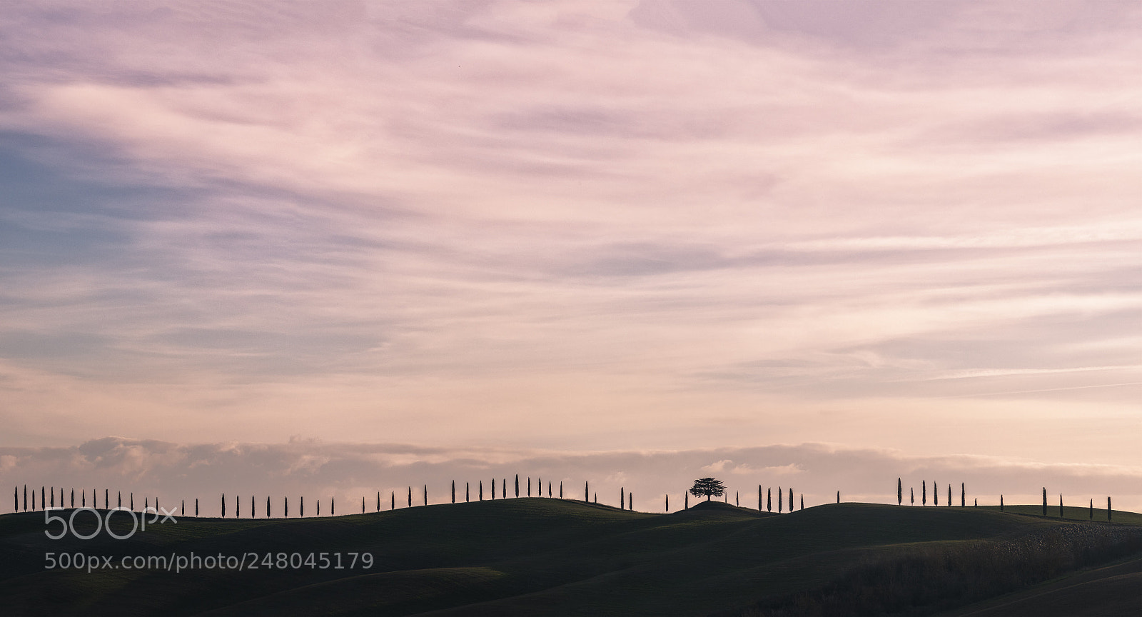 Nikon D850 sample photo. Toscaniana photography