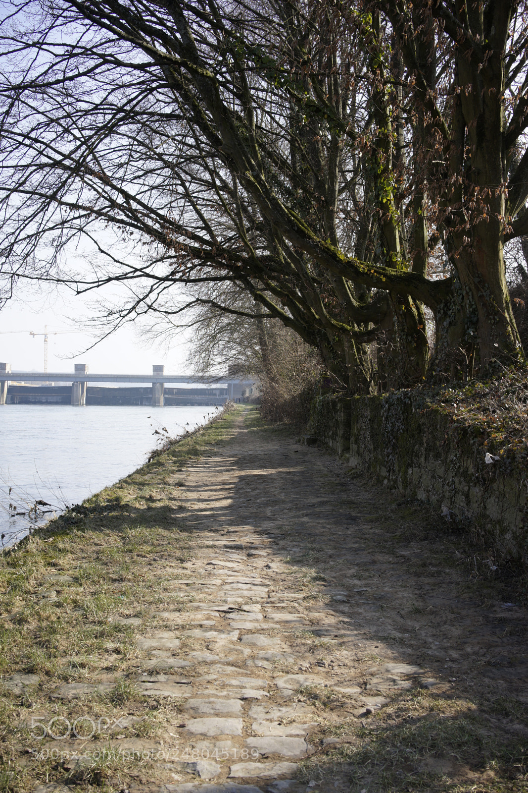 Sony a7 sample photo. First day of march photography