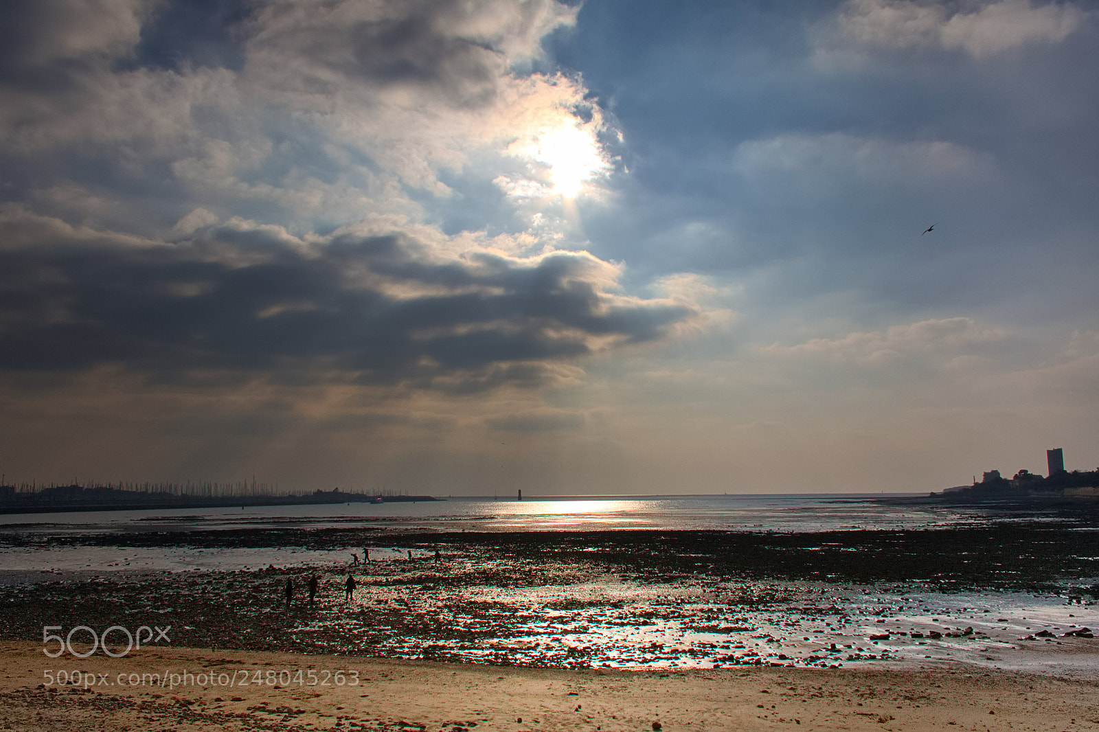 Canon EOS 450D (EOS Rebel XSi / EOS Kiss X2) sample photo. Plage en hiver photography
