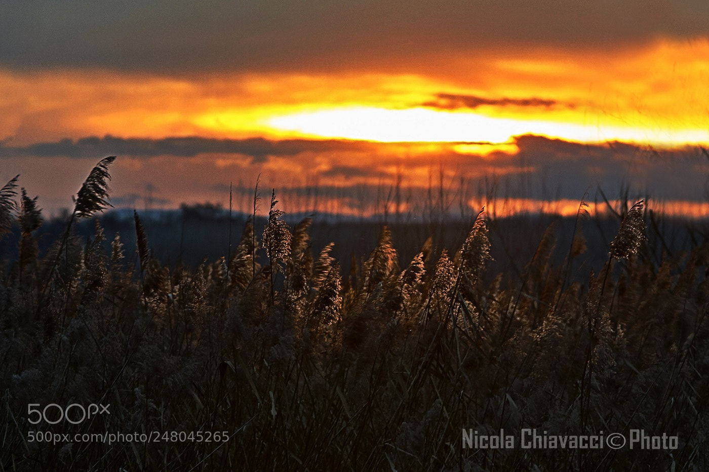 Sony ILCA-77M2 sample photo. Untitled photography