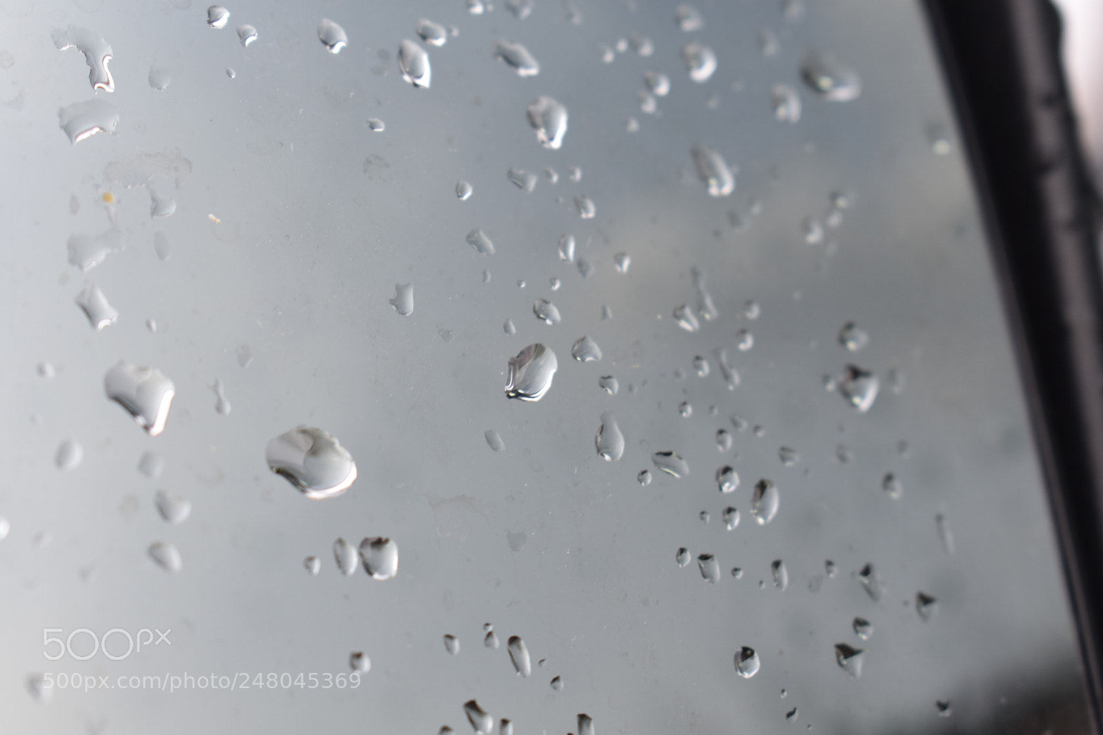 Nikon D3400 sample photo. Untitled photography