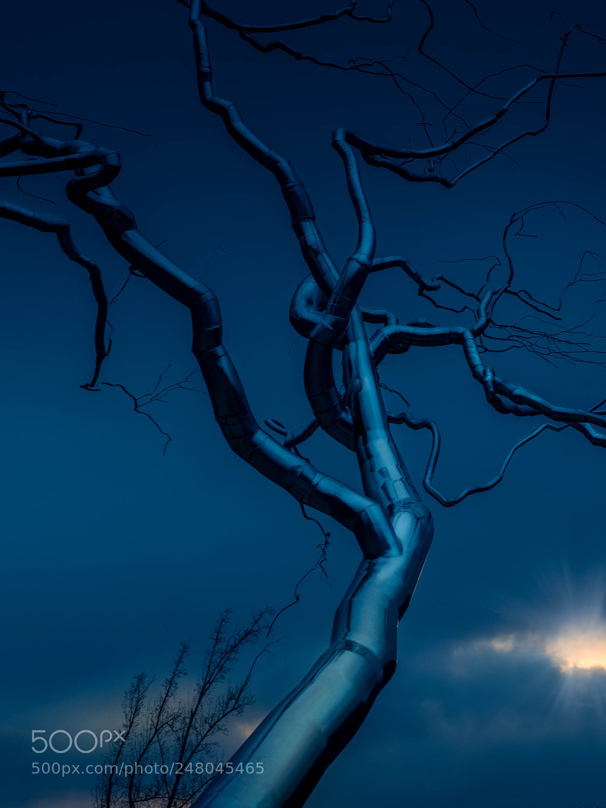 Olympus OM-D E-M5 II sample photo. The iron tree photography