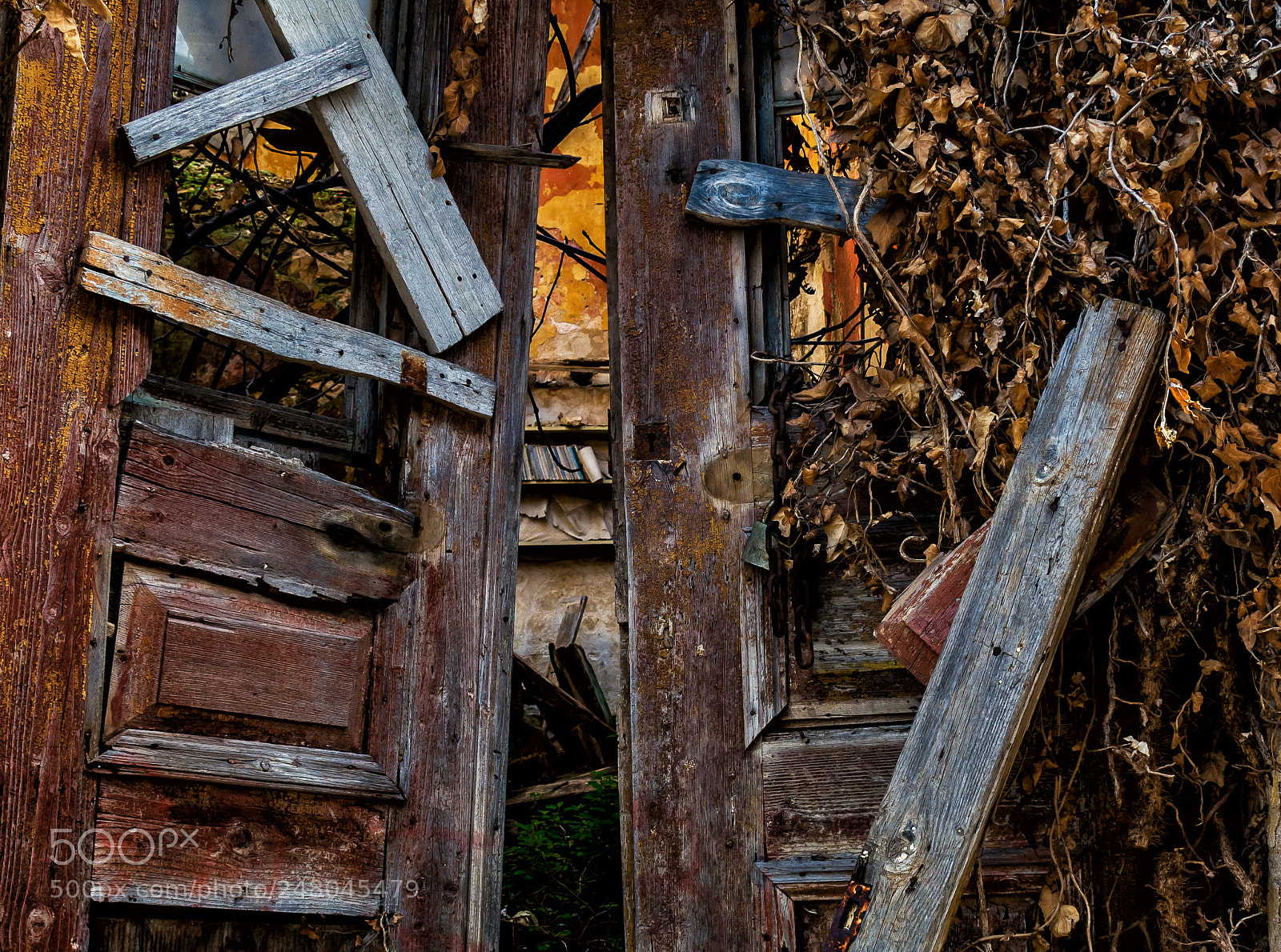 Nikon D7100 sample photo. Old door photography
