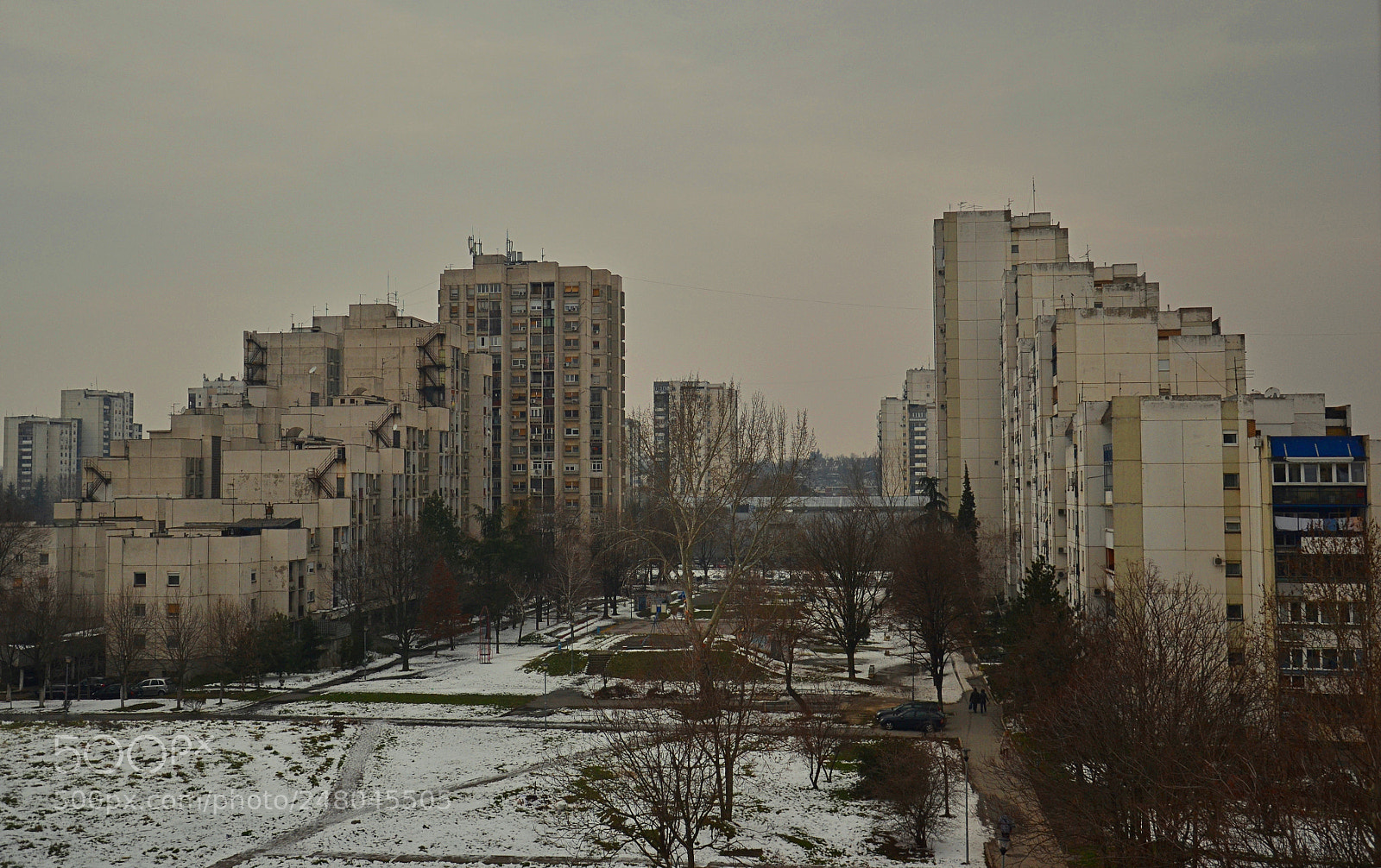 Nikon D3100 sample photo. Another day in the photography