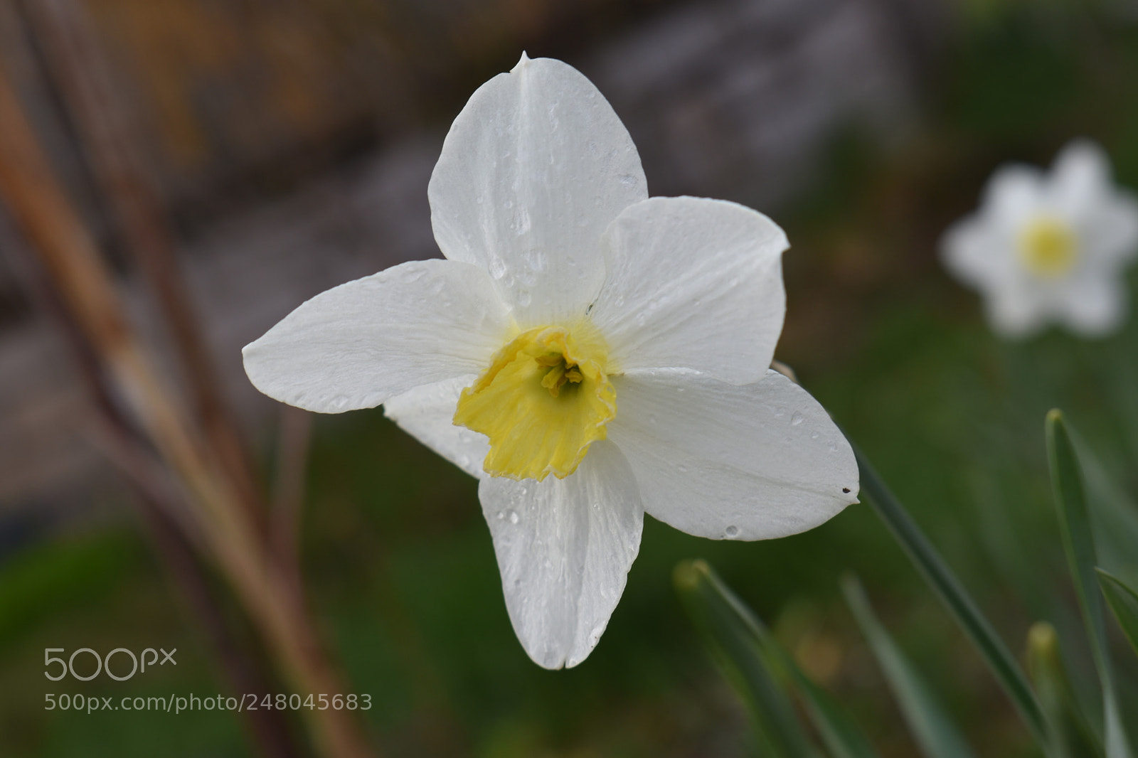 Nikon D3400 sample photo. Untitled photography