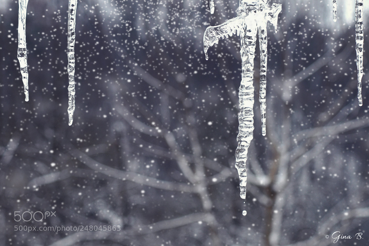 Nikon D300 sample photo. Ice curtain photography