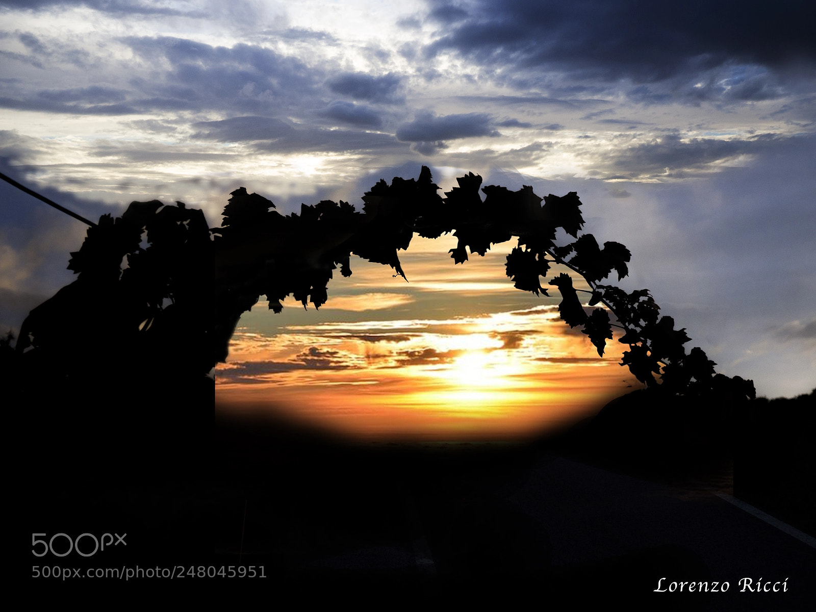 Olympus OM-D E-M10 II sample photo. Cloudy sunset photography