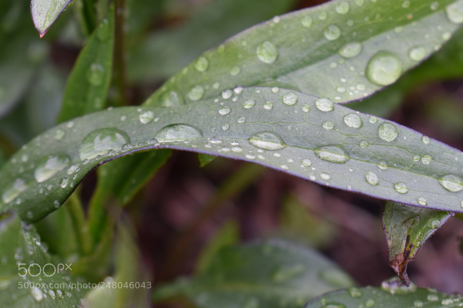 Nikon D3400 sample photo. Untitled photography