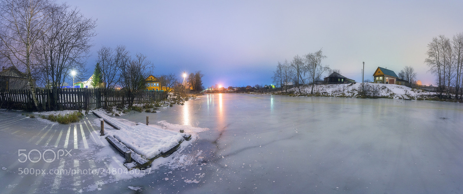 Nikon D610 sample photo. 862. on a frozen photography